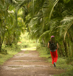 Le Costa Rica, un paradis sur terre