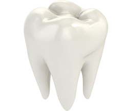 l'importance de vos dents dans les douleurs cervicales