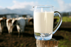 Que penser des produits laitiers?