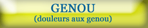 Genoux