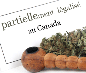 Cannabis Québec